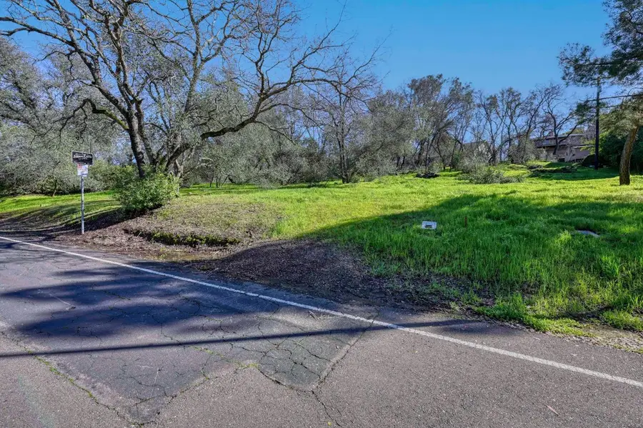 293 Leidesdorf Street, Folsom, CA 95630 - #3