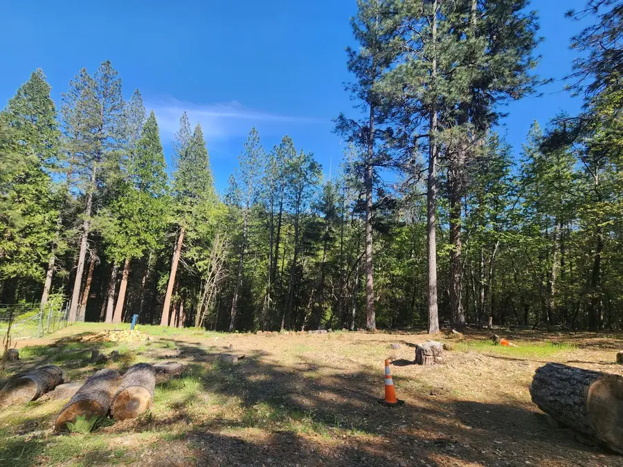 5508 Five Spot Road, Pollock Pines, CA 95726 - #2