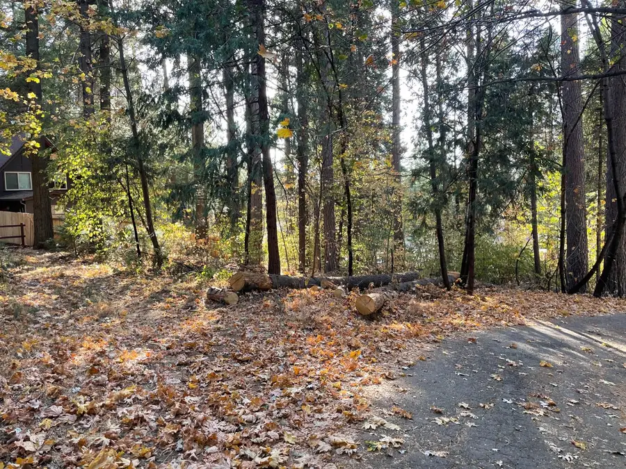 3062 Sly Park Road, Pollock Pines, CA 95726 - #3