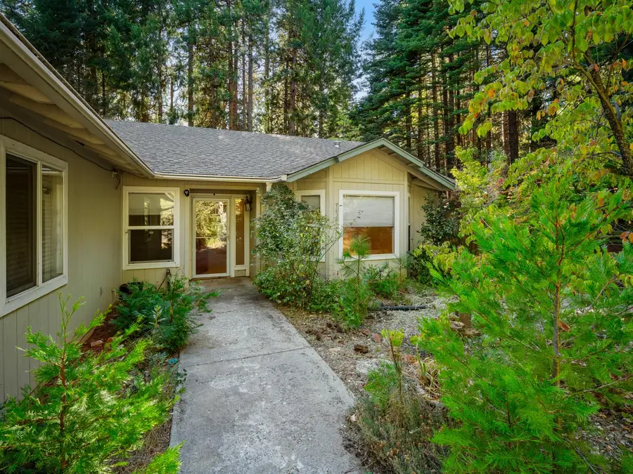 6250 Terrace Drive, Pollock Pines, CA 95726 - #3