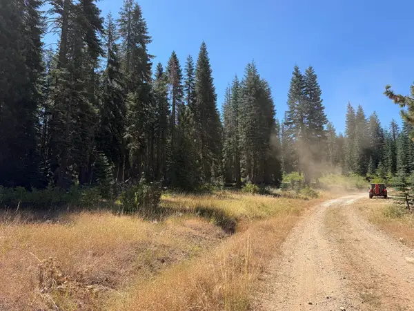 20 Blue Rock Trail, Dorrington, CA 95223