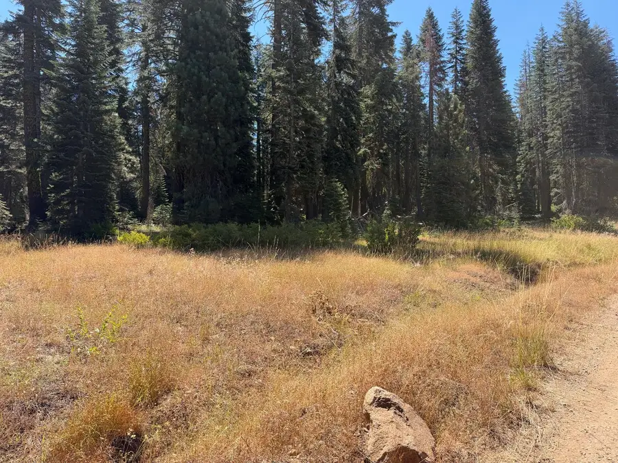 20 Blue Rock Trail, Dorrington, CA 95223 - #2