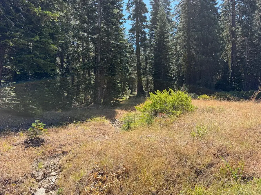20 Blue Rock Trail, Dorrington, CA 95223 - #3