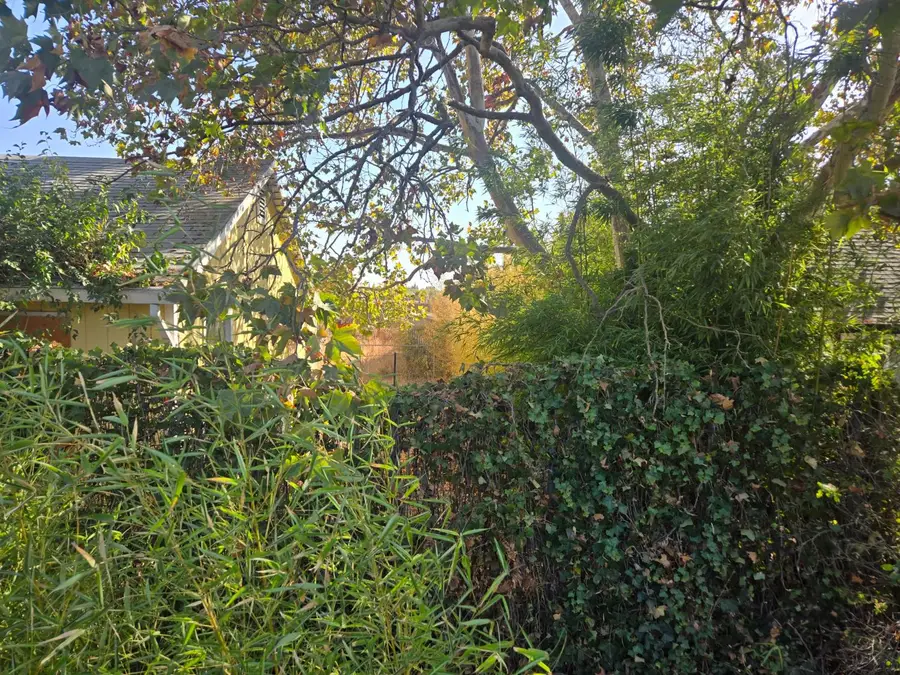 8690 Calvine Road, Sacramento, CA 95828 - #3