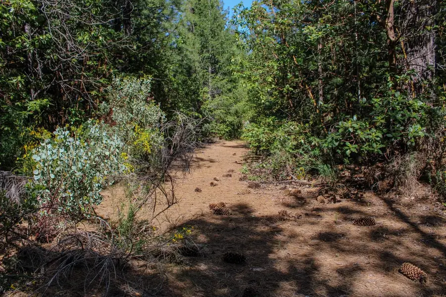 5734 Wilder Road, Georgetown, CA 95634 - #3