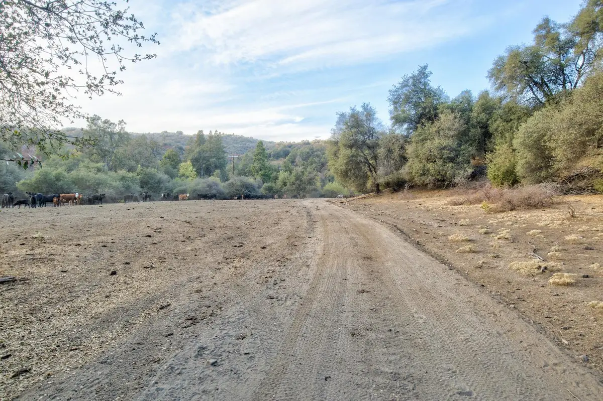53077 Whittaker, Miramonte, CA 93641 - #1