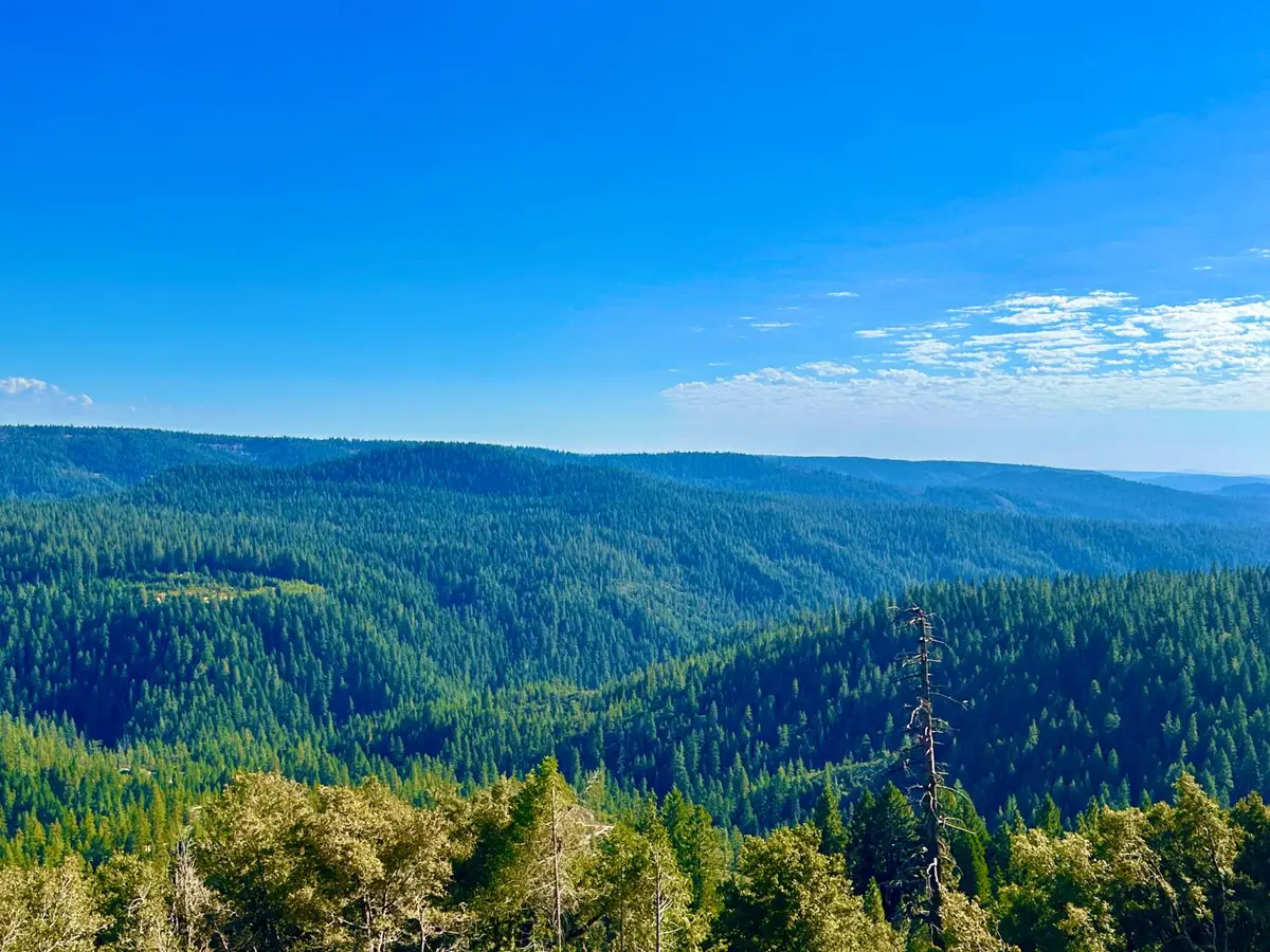 15426 Bluff View Road, Nevada City, CA 95959 - #1