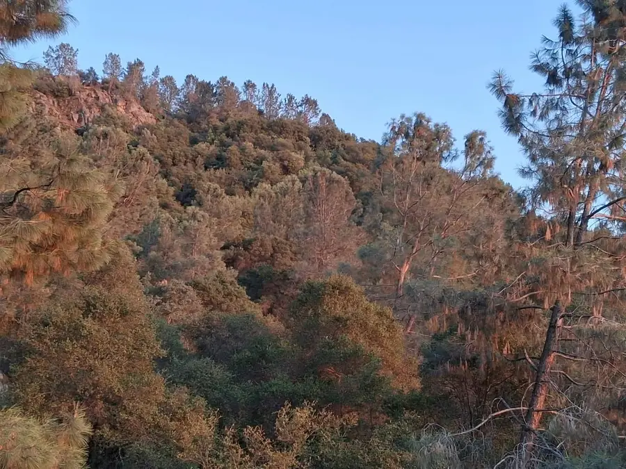 28666 Quail Springs, Tollhouse, CA 93667 - #3