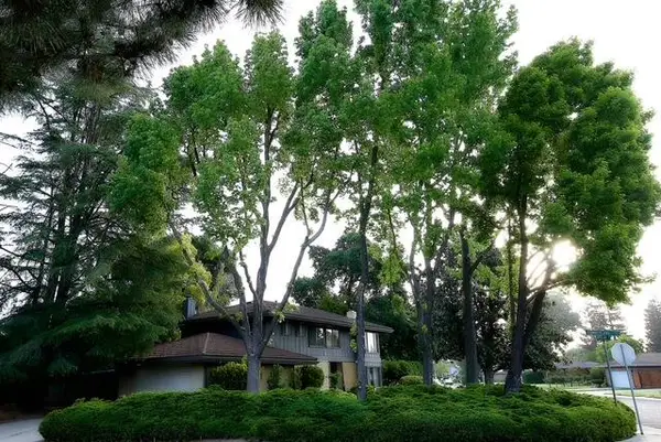 3631 Harpers Ferry Drive, Stockton, CA 95219