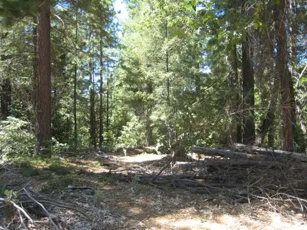 46 Ringtail Road, Georgetown, CA 95634