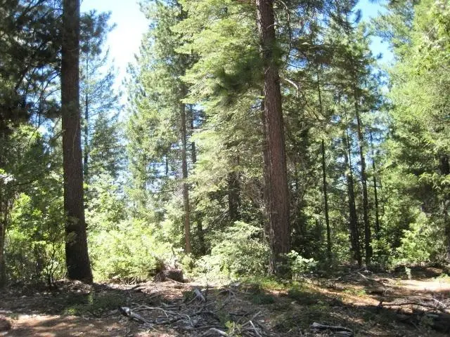 46 Ringtail Road, Georgetown, CA 95634 - #2