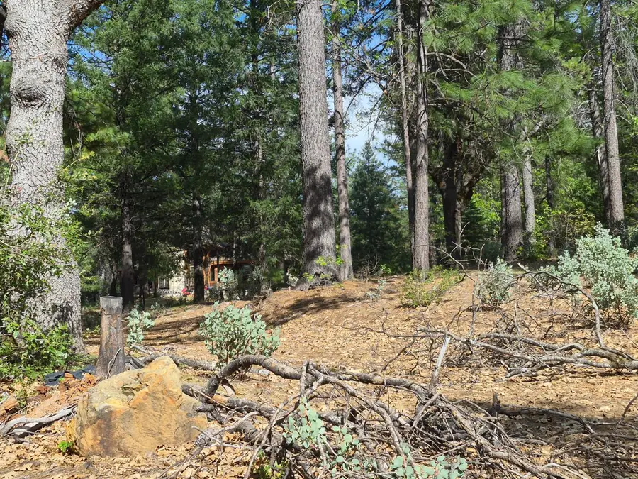 46 Ringtail Road, Georgetown, CA 95634 - #3