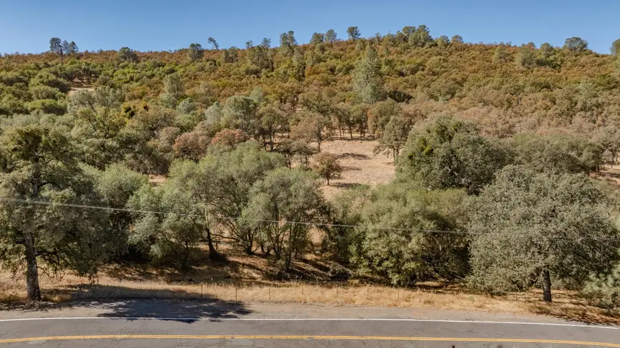 7290 Pool Station Road, Angels Camp, CA 95222 - #3