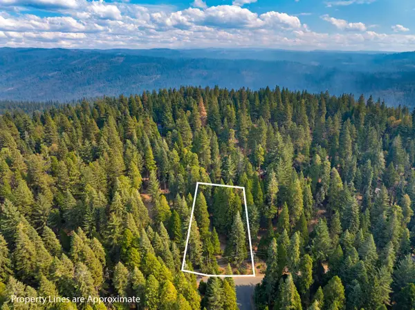 2875 Shoshone Drive, Camp Connell, CA 95223