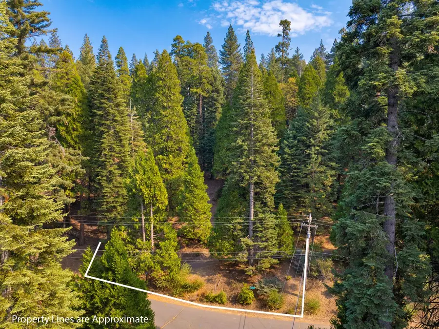 2875 Shoshone Drive, Camp Connell, CA 95223 - #3