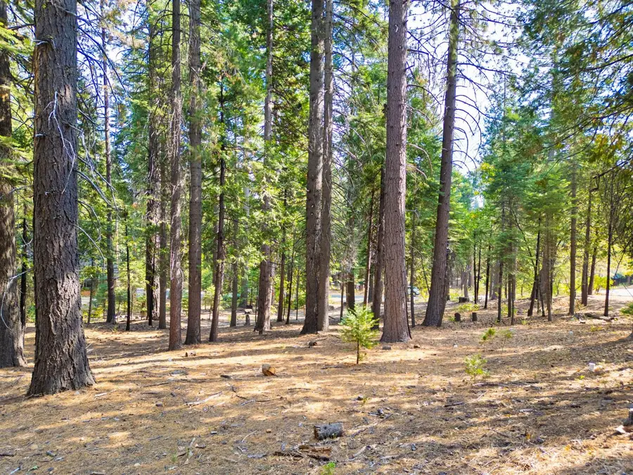 3730 Apache Road, Dorrington, CA 95223 - #3