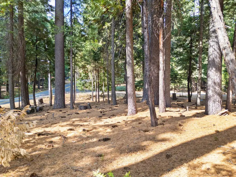 2865 Osage Circle, Dorrington, CA 95223 - #2
