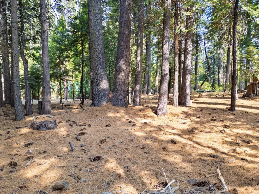 2865 Osage Circle, Dorrington, CA 95223 - #3