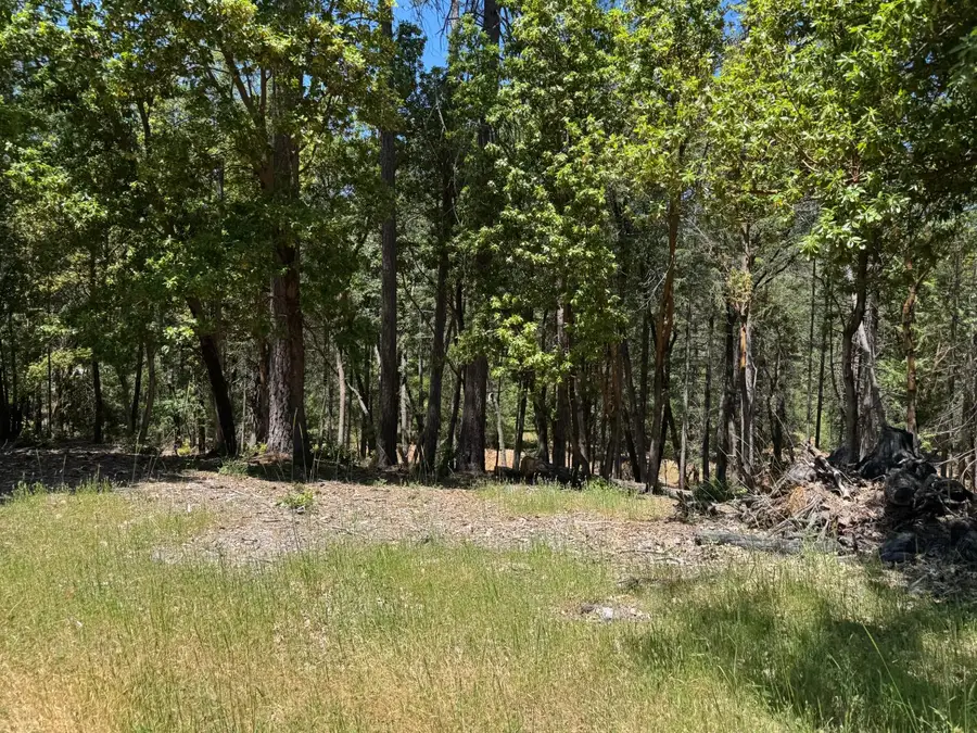 20945 Todd Valley Road, Foresthill, CA 95631 - #2