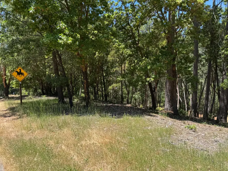 20945 Todd Valley Road, Foresthill, CA 95631 - #3
