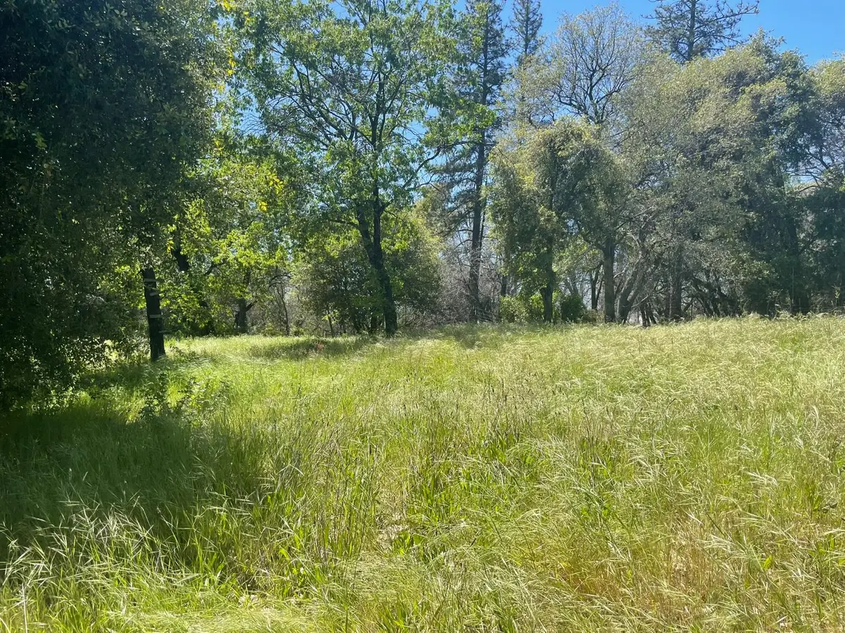 0 Lumpkin, Oroville, CA 95966 - #1