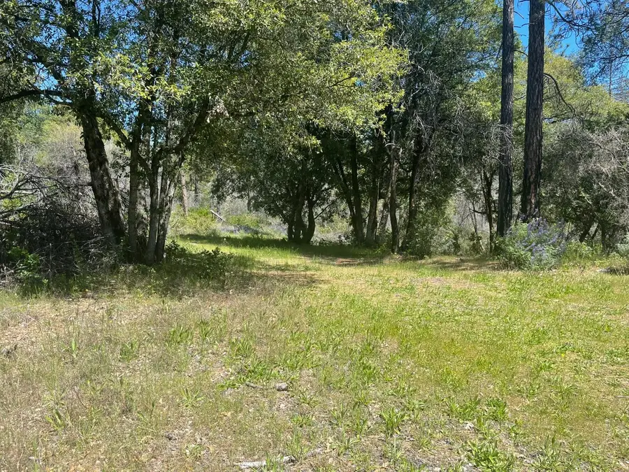 0 Lumpkin, Oroville, CA 95966 - #2