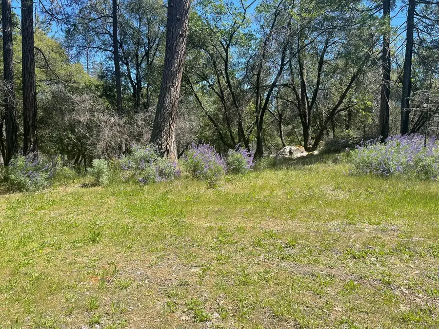 0 Lumpkin, Oroville, CA 95966 - #3