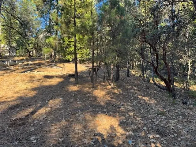 2698 Country Club Drive, Arnold, CA 95223 - Image #3