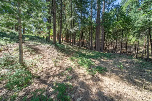 2595 Chamonix Road, Arnold, CA 95223