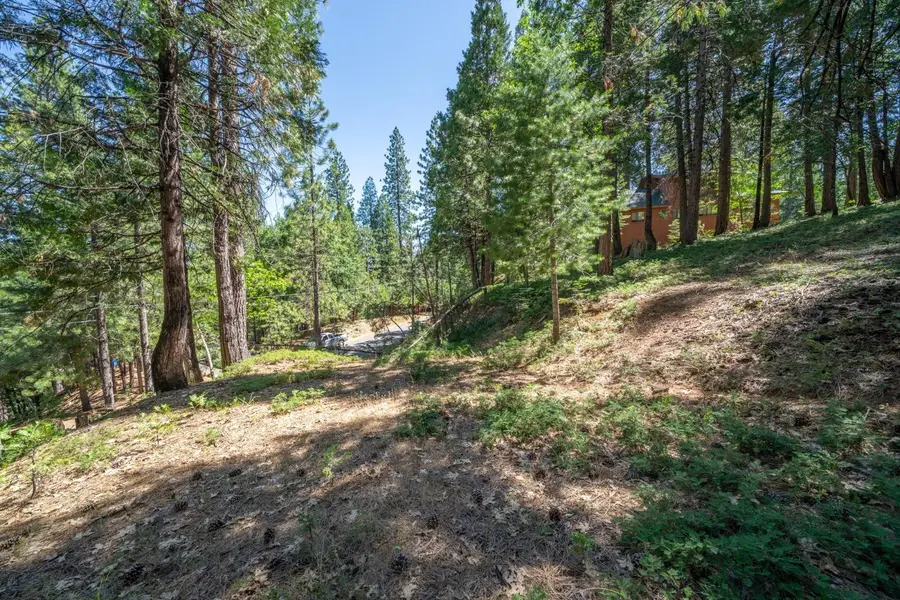 2595 Chamonix Road, Arnold, CA 95223 - Image #3