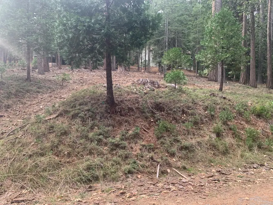 1430 Gloria Drive, Arnold, CA 95223 - Image #2