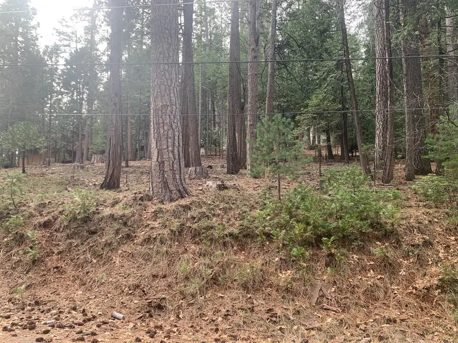 1430 Gloria Drive, Arnold, CA 95223 - Image #3