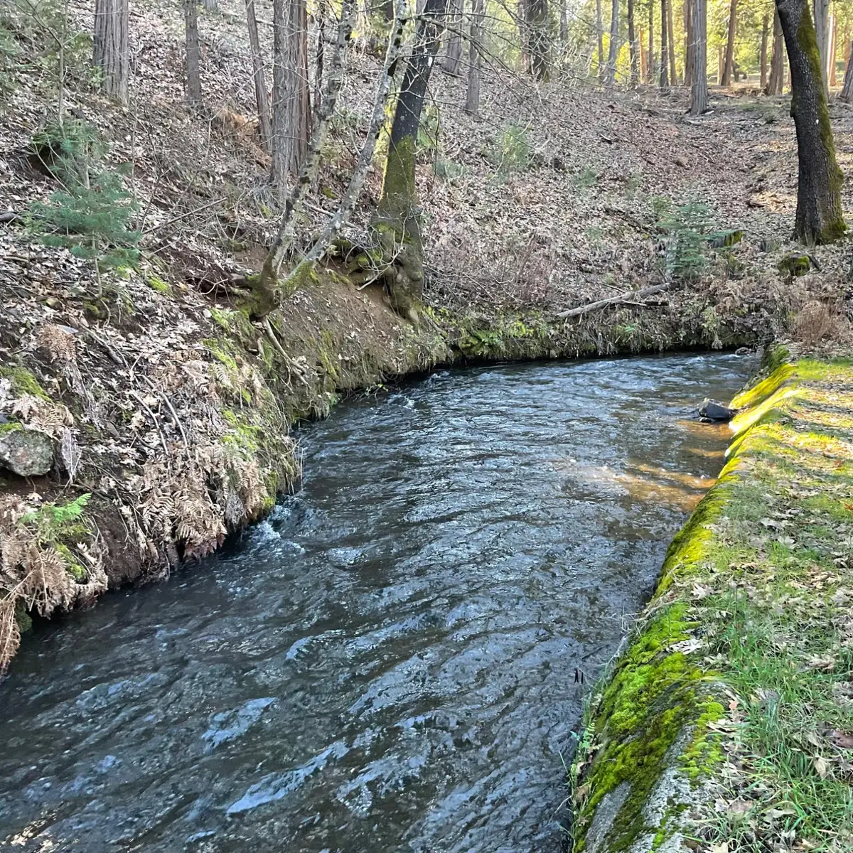 369 Canyon View Drive, Hathaway Pines, CA 95233 - Image #1