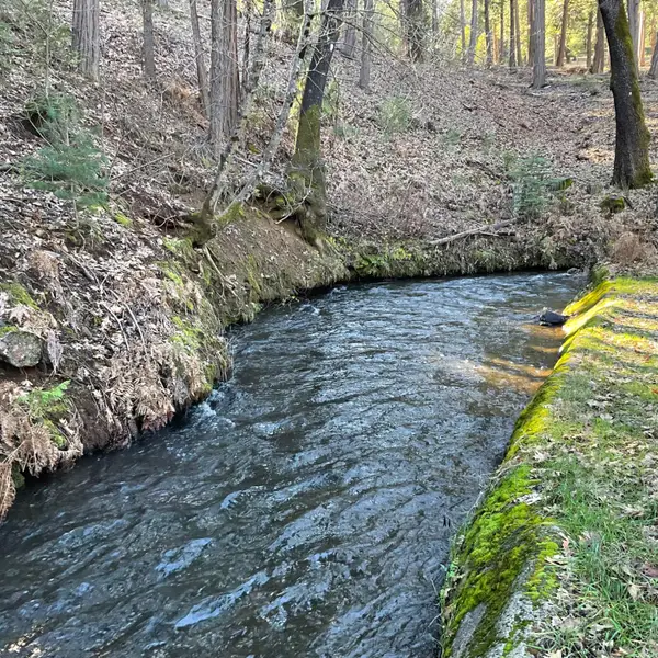 369 Canyon View Drive, Hathaway Pines, CA 95233