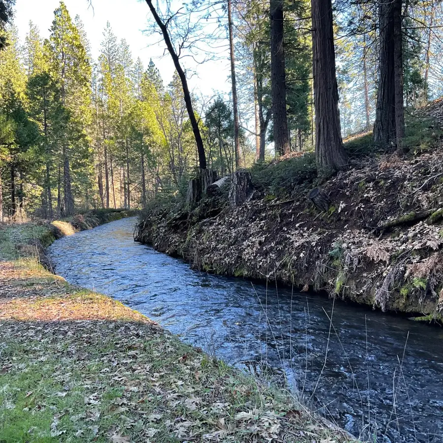 369 Canyon View Drive, Hathaway Pines, CA 95233 - Image #2