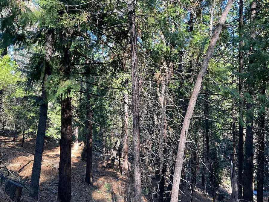 369 Canyon View Drive, Hathaway Pines, CA 95233 - Image #3