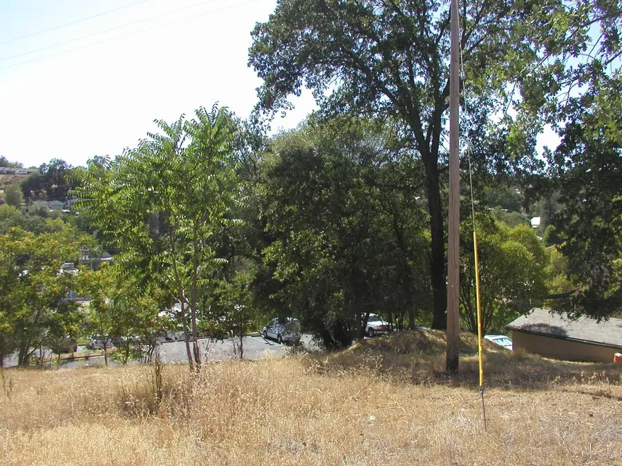 0 Raspberry Lane, Angels Camp, CA 95222 - Image #2