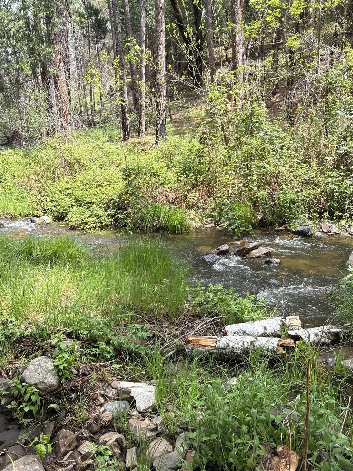 39 Anderson Valley Road, Coulterville, CA 95311 - #1