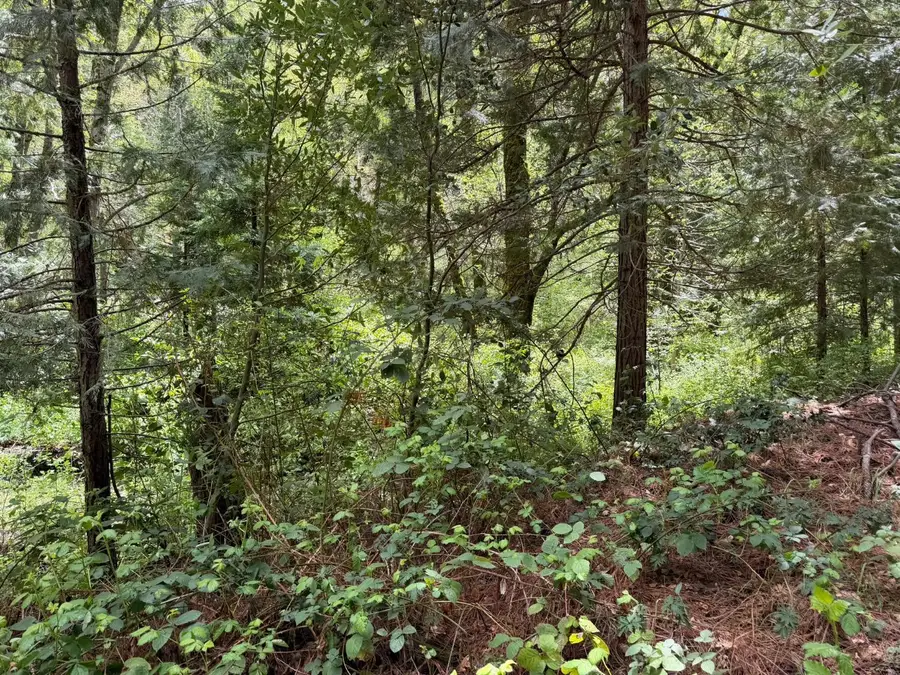 39 Anderson Valley Road, Coulterville, CA 95311 - #2
