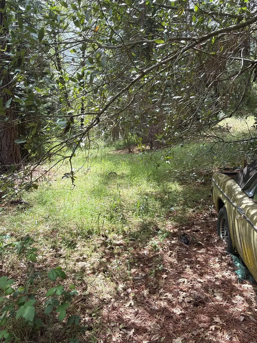 39 Anderson Valley Road, Coulterville, CA 95311 - #3