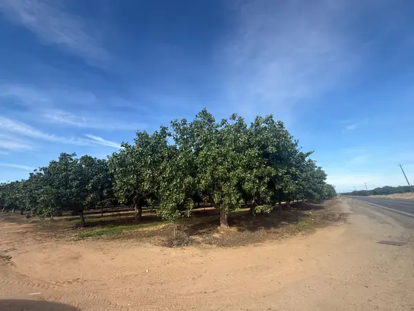 20349 Brightwood Road, Madera, CA 93638