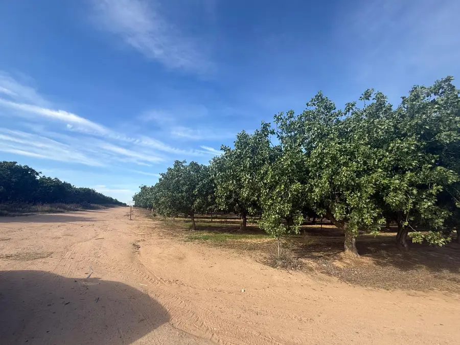 0 Avenue 21, Madera, CA 93638 - #2
