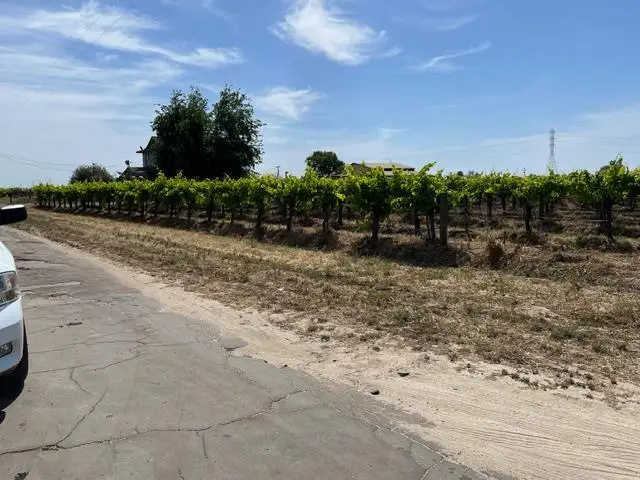 6195 W Springfield, Caruthers Raisin City, CA 93706 - #3