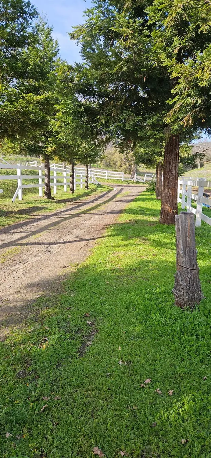 33555 Merrill Ranch Road, O Neals, CA 93645 - #3