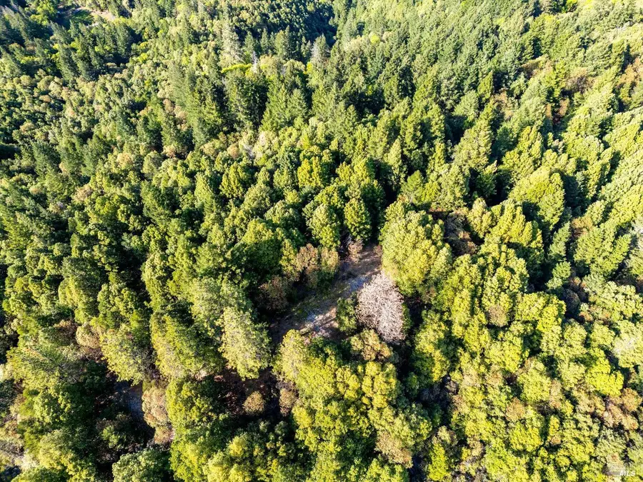 80501 Ebert Lane, Piercy, CA 95587 - Image #3