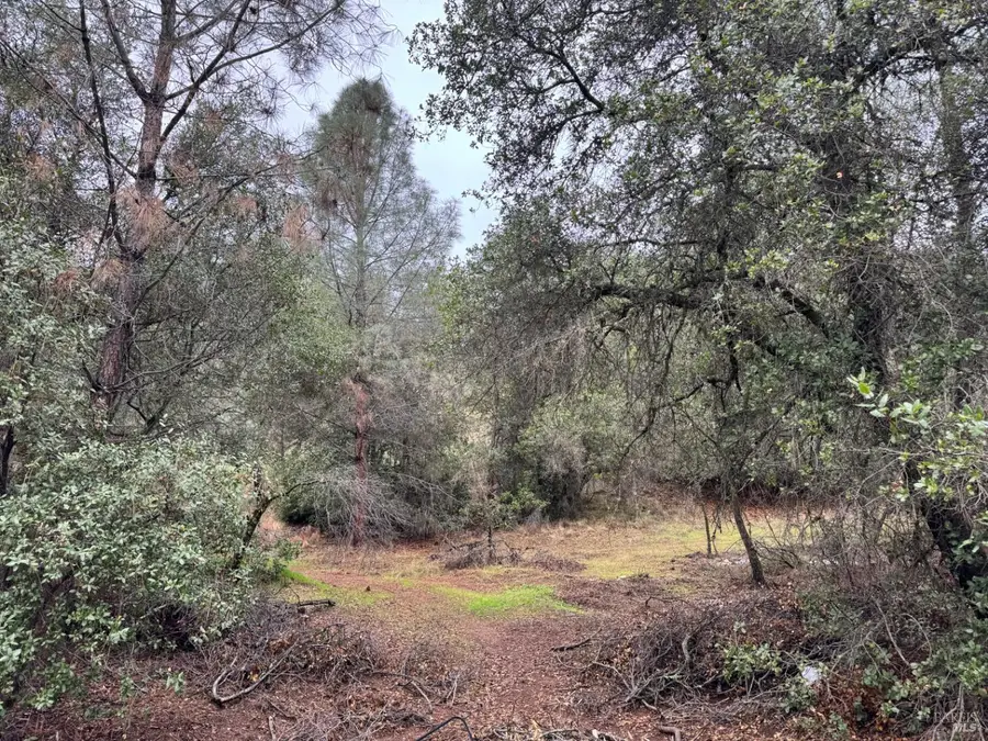 12332 Mountain View Drive, Clearlake Oaks, CA 95423 - #3