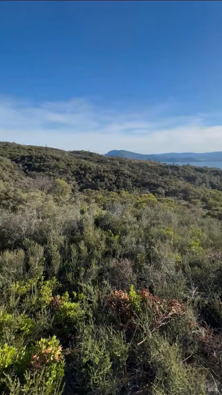 7700 8 W 25 Trail, Lucerne, CA 95458 - #2