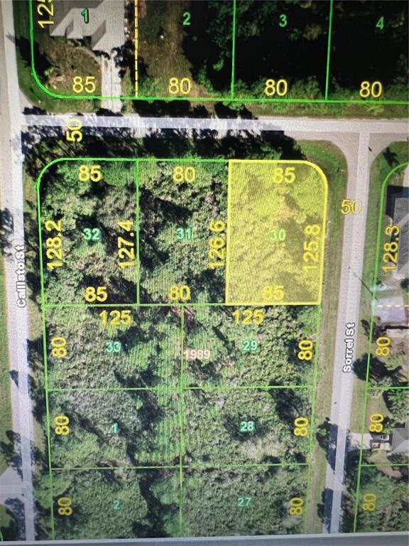 12053 Keller Avenue, PORT CHARLOTTE, FL 33981 BHGRE