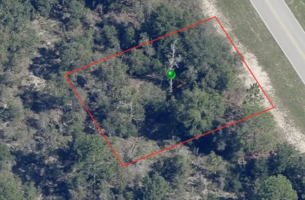 8260 N Elkcam Boulevard, CITRUS SPRINGS, FL 34433