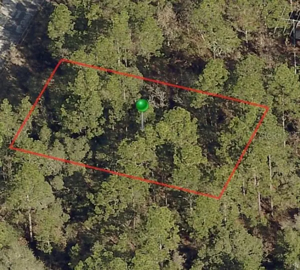 2982 W Marie Drive, CITRUS SPRINGS, FL 34433